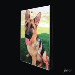 Porta foto PARETE plexiglass   | Acquista online su jmarshop.com